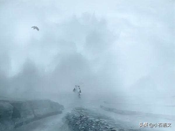 一隻叫“咖啡”的狗 一隻叫“咖啡”的狗