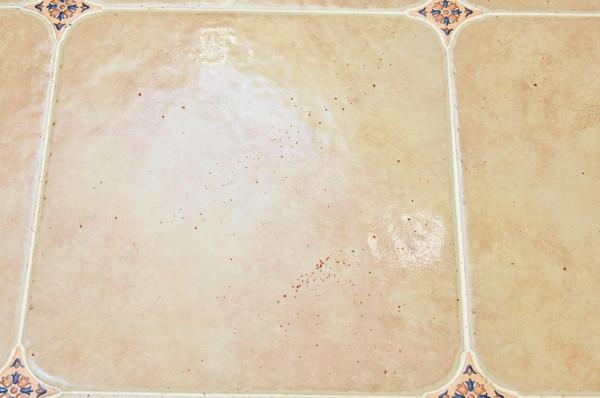 雲鯨、石頭、科沃斯?帶自清潔功能的掃拖一體機,深度對比幫你選 雲鯨、石頭、科沃斯?帶自清潔功能的掃拖一體機,深度對比幫你選