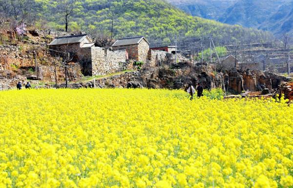 東姚石大溝村，一個用石頭壘砌的世界
