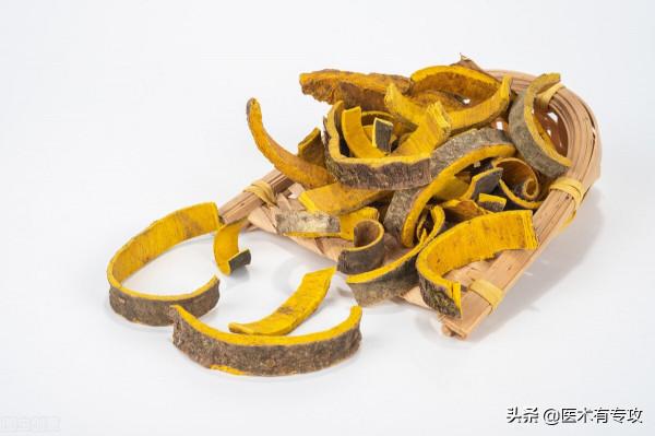 每天一味中藥一黃柏 每天一味中藥一黃柏