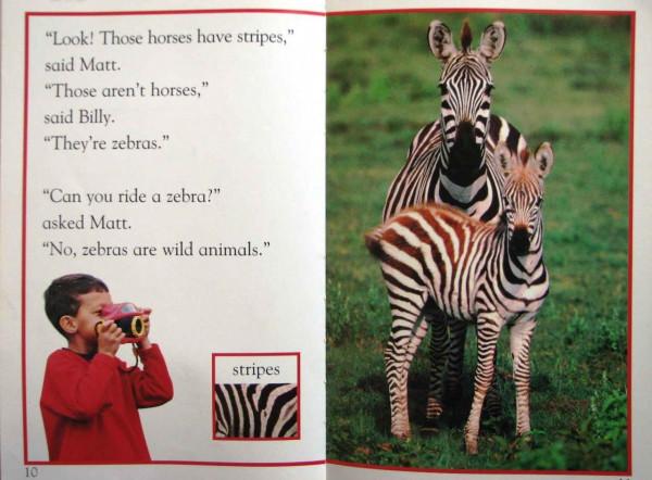 兒童英語科學啟蒙繪本DK Readers分級讀物DK pre--level 4