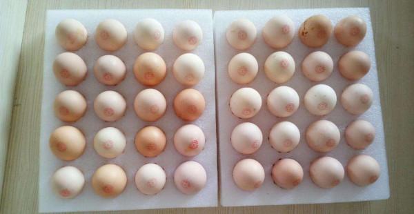 為什麼冬天愛掉頭髮？建議你多吃這4種食物，還頭髮一個健康狀態