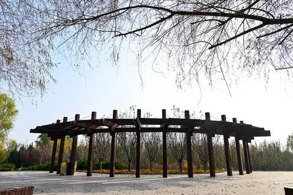 獨一無二！公園裡也能跑火車！京西這處免費的森林公園，值得玩