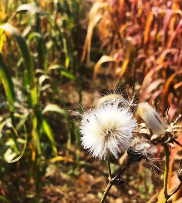 五十歲以後，多存點錢吧！餘生還長，養老是很貴的