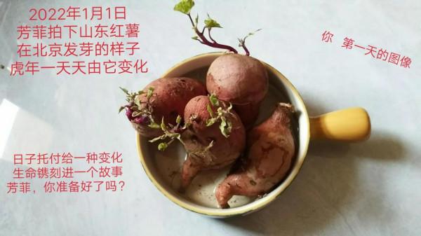 寫意2022一月的某一天