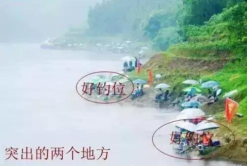 怎麼樣釣魚魚易上鉤