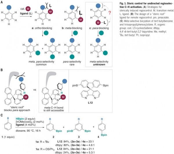 芳烴無定向間位選擇C-H活化的遠端空間控制
