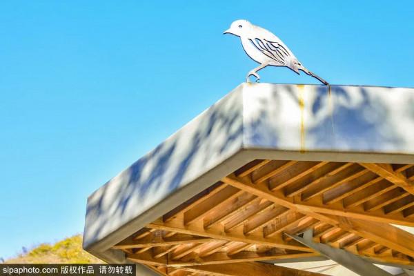 最新實拍!北京這裡紅葉美翻了!關鍵人少還免費,快來打卡 最新實拍!北京這裡紅葉美翻了!關鍵人少還免費,快來打卡