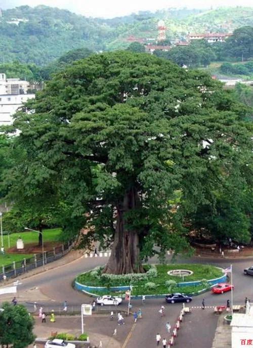 鑽石王國獅子山是個怎樣的國家？帶你瞭解最真實的獅子山現狀
