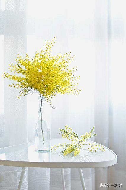 一枝插花,驚豔一家 一枝插花,驚豔一家