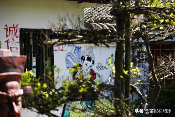 茶影的進藏日誌3 茶影的進藏日誌3