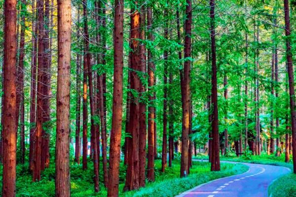 鹽城：沒有一座山的城市，海拔8米，土坡都少見