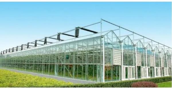 一學就會的致富經為何一做就成“致負經”,原因何在? 一學就會的致富經為何一做就成“致負經”,原因何在?