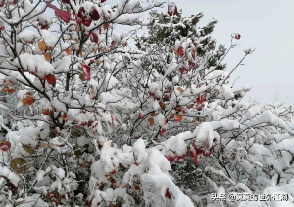 北京海淀,極美的國家級森林公園,遊賞紅葉,小眾清幽,山水宜人 北京海淀,極美的國家級森林公園,遊賞紅葉,小眾清幽,山水宜人