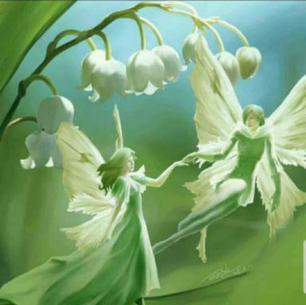 鈴兒響叮噹，迷你三胞胎：風鈴草，鈴蘭，鈴鐺花。你能分清嗎？