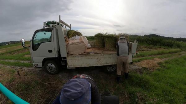 日本每年有100萬噸稻草的需求，我們卻把稻草燒掉，為什麼呢？