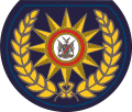 奈米比亞警銜標識