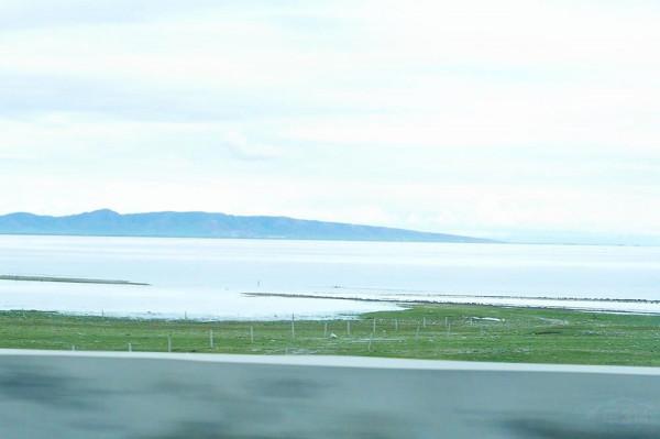 標緻4008環青海長測Day9：鳥島叫“蚊子島”，沿青海沿線達剛察！