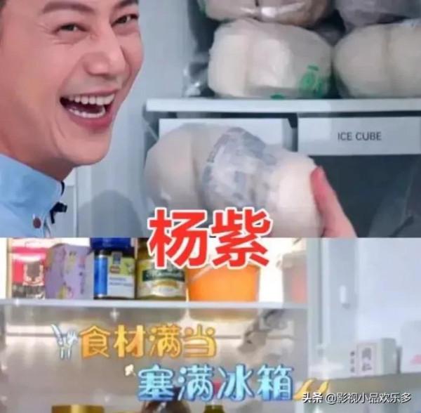 楊紫的冰箱,關曉彤的冰箱,戚薇的冰箱,看熱巴:心痛 楊紫的冰箱,關曉彤的冰箱,戚薇的冰箱,看熱巴:心痛