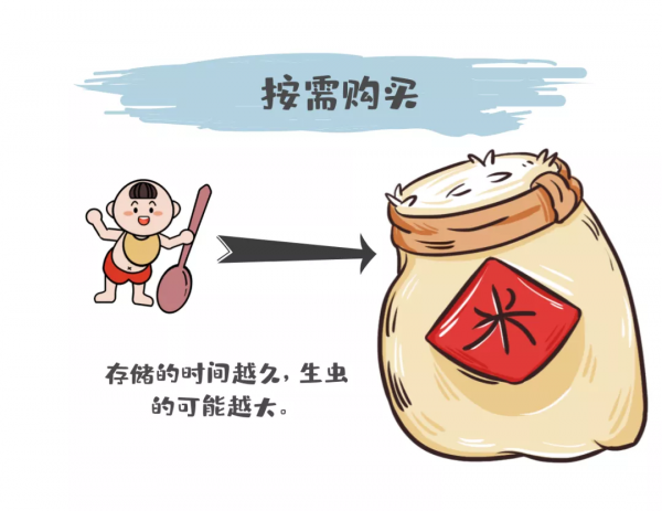 生蟲的米也能繼續吃？你吃的米飯裡可能就有米蟲