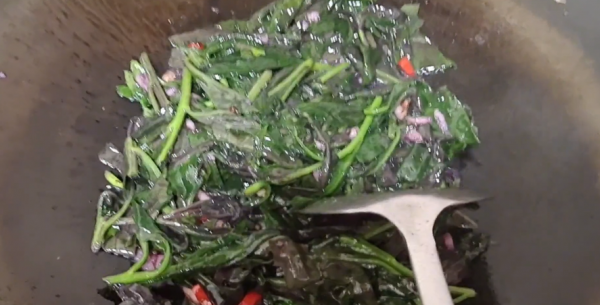 血皮菜，農村常見的一種野菜既美麗又美味，你真的瞭解它嗎