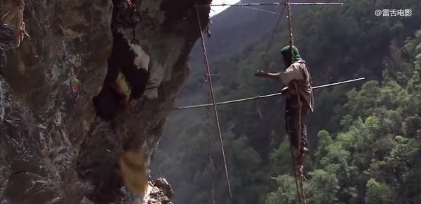 14歲少年爬100米懸崖採蜂蜜,給3個弟妹賺學費!紀錄片 14歲少年爬100米懸崖採蜂蜜,給3個弟妹賺學費!紀錄片