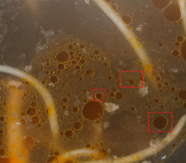 湯水裡的油滴一定是圓形的嗎？答案來了
