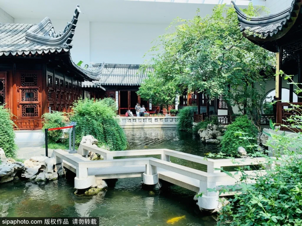 冬天不想宅在家?北京這些地方,依然綠意蔥蘢! 冬天不想宅在家?北京這些地方,依然綠意蔥蘢!