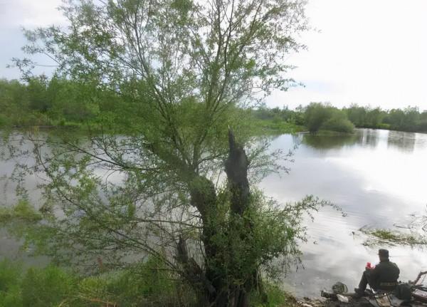 弄明白魚不開口的6大原因，是釣魚人必備的技能之一