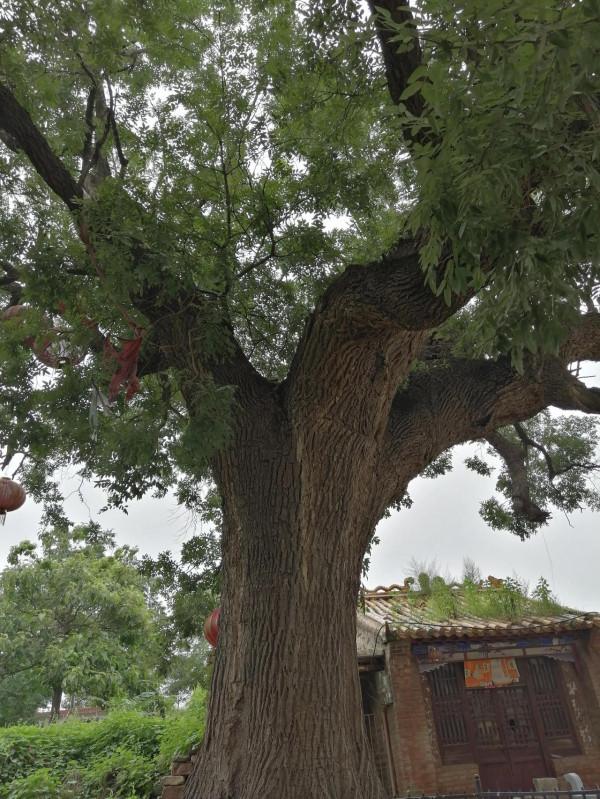 怎麼樣運動起來?有沒有知道了所有的道理依然還是窩在那裡滑手機 怎麼樣運動起來?有沒有知道了所有的道理依然還是窩在那裡滑手機