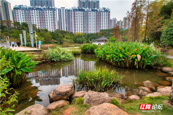 在衡陽這座公園裡，我遇到古典美學與現代藝術的碰撞與融合