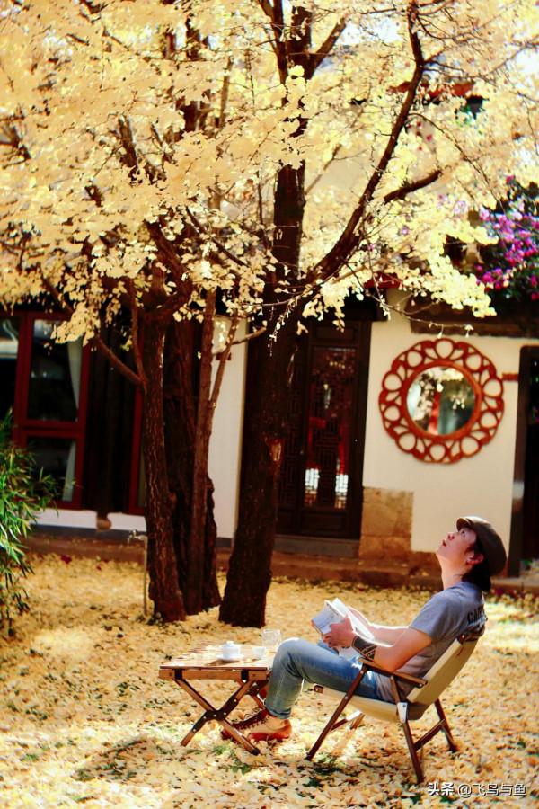 地上不夠耍要上房頂