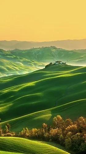 綠色大草原 綠色大草原