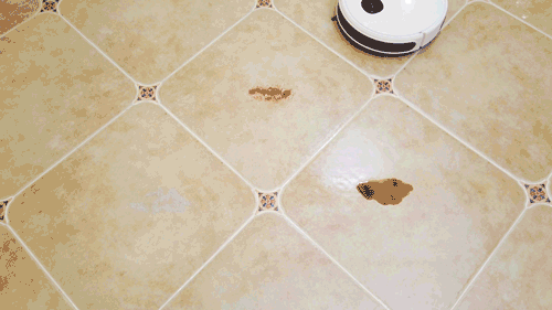 雲鯨、石頭、科沃斯?帶自清潔功能的掃拖一體機,深度對比幫你選 雲鯨、石頭、科沃斯?帶自清潔功能的掃拖一體機,深度對比幫你選