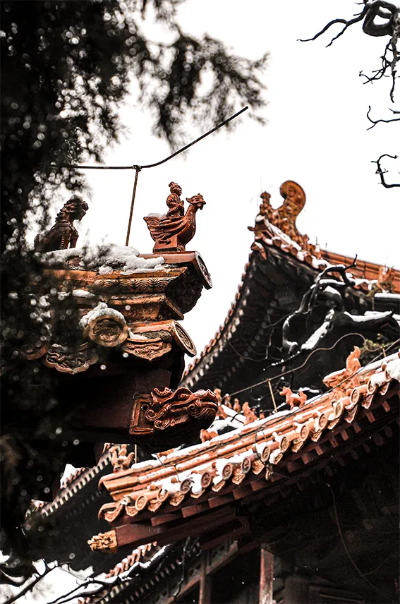 來了！美了三孔景區的初雪，靚了闕里古城的冬