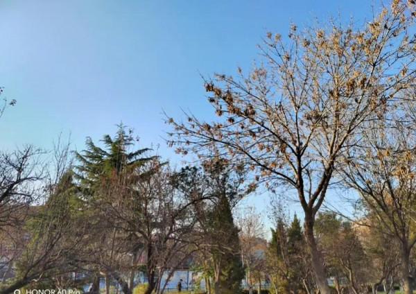 榮耀60pro這次確實是驚豔到我了 榮耀60pro這次確實是驚豔到我了