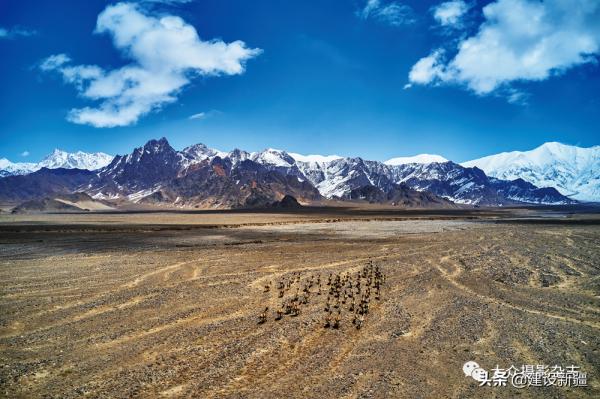 發現新疆之重 發現新疆之重