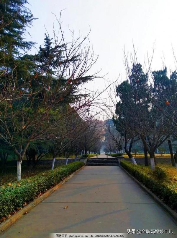 分享——美景小道