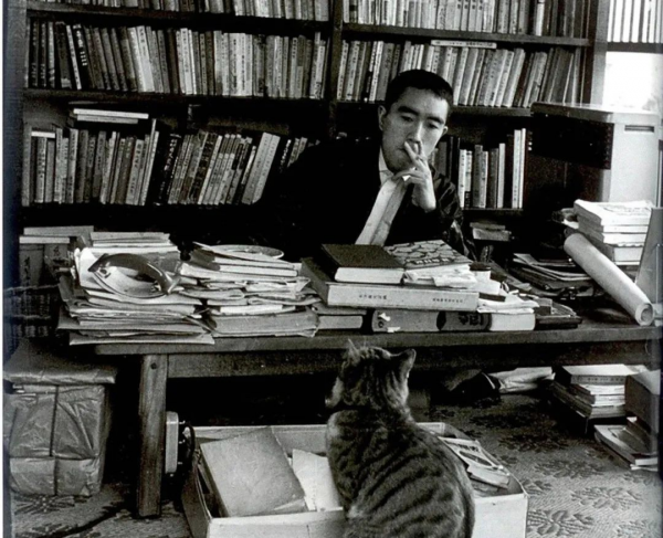 《潮騷》:又純又欲又美好 《潮騷》:又純又欲又美好