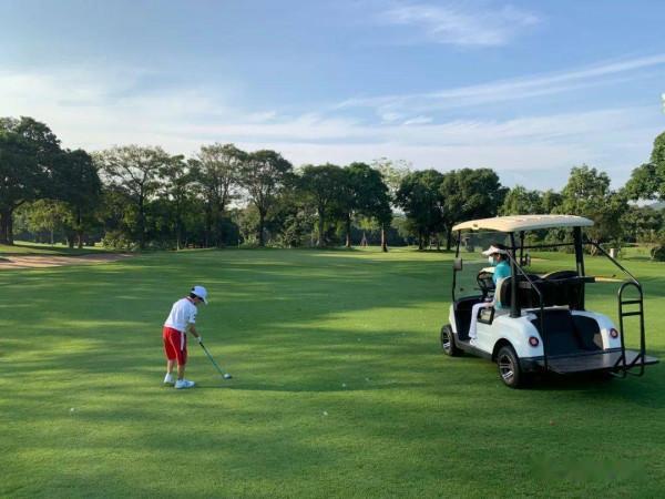 高爾夫運動規則、術語及電視轉播中資料顯示的解讀