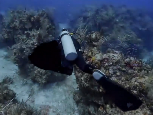 真實故事:印度58歲大爺被雷劈,全身都可發電,甚至可以烤熟雞腿 真實故事:印度58歲大爺被雷劈,全身都可發電,甚至可以烤熟雞腿