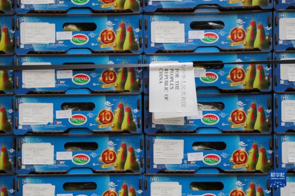 比利時啤梨“熱盼”中國進博會 比利時啤梨“熱盼”中國進博會