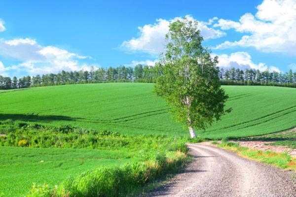 小喵的生活日記