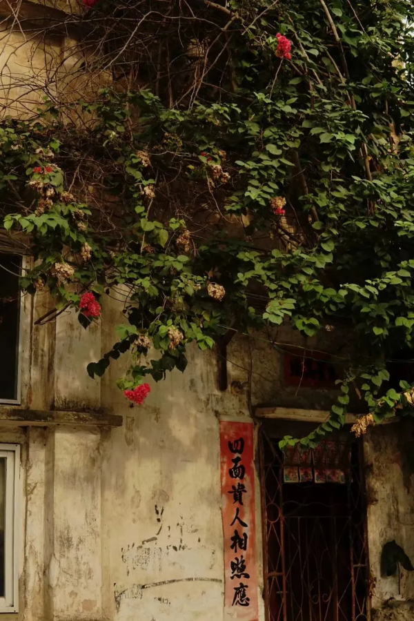 北海隔壁，廣西這座安逸老城！高鐵直達，嗦粉水果自由，早該火了