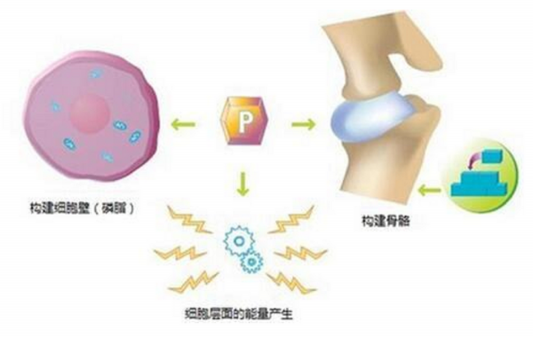 煮沸50桶尿液鍊金，發現造福及反人類元素，化學的前身是鍊金嗎？