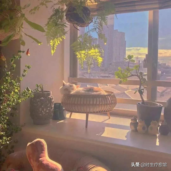 2021年12月星座運勢：分享即是獲得