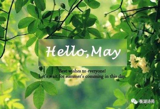 靜心(散文) 靜心(散文)