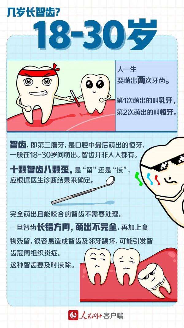 「健康」智齒到底要不要拔？需要知道的都在這