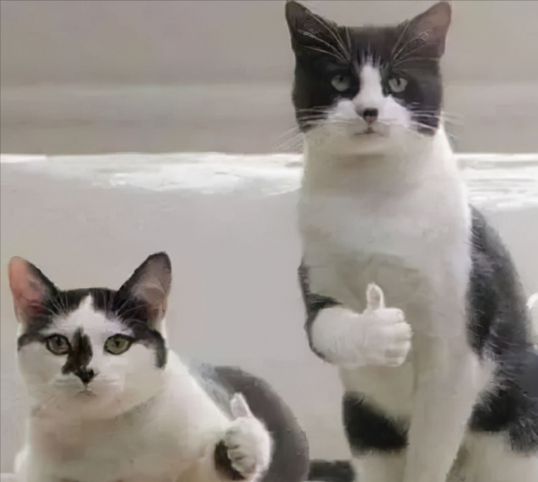 一千年後的語文課本長什麼樣？網友想象出來的樣子清奇又超有梗