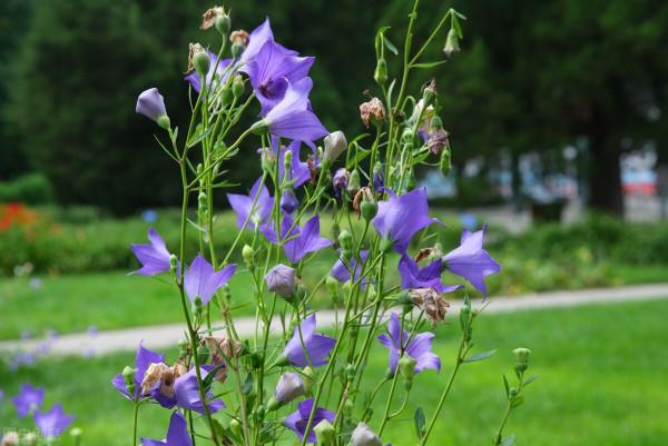 自強不息:星光不問趕路人,只爭朝夕 自強不息:星光不問趕路人,只爭朝夕